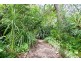 49 Warabin Street, Waterfall NSW 2233