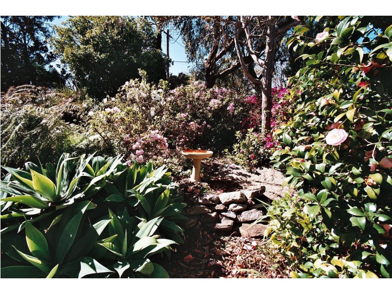 33 Caldarra Avenue, Engadine NSW 2233