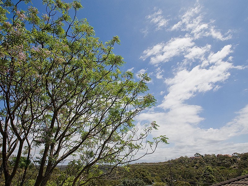 10 Cassandra Crescent, Heathcote NSW 2233