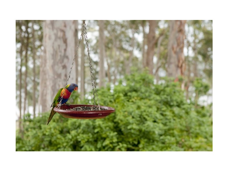 84 Loralyn Avenue, St Georges Basin NSW 2540