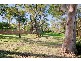 Bangor NSW 2234