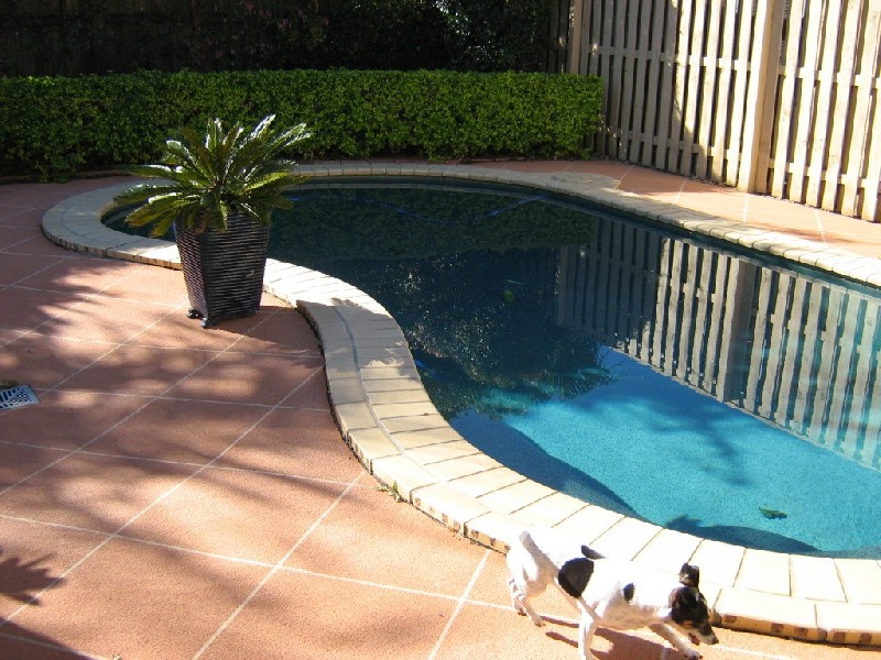 22 Botanical Circuit, Banora Point NSW 2486