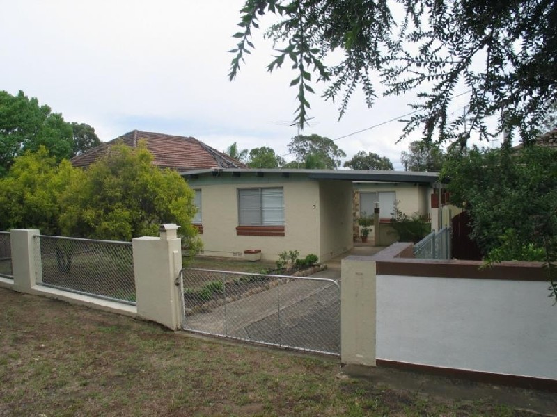 3 Phyllis Street, Minto NSW 2566
