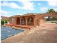 81 Rawson Rd, Greenacre NSW 2190