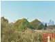 10 Kingsgrove Road, Belmore NSW 2192