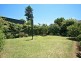 21 Wilson Avenue, Belmore NSW 2192
