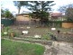 124 Juno Parade, Greenacre NSW 2190