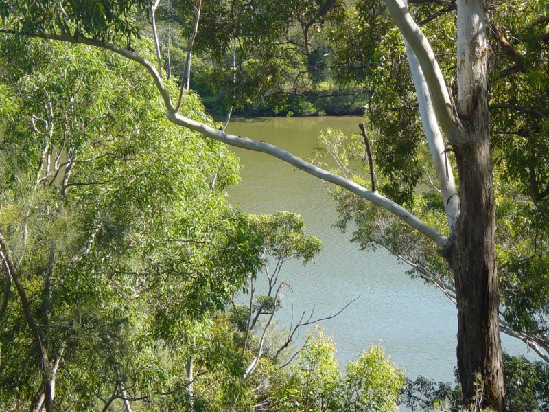 Picnic Point NSW 2213