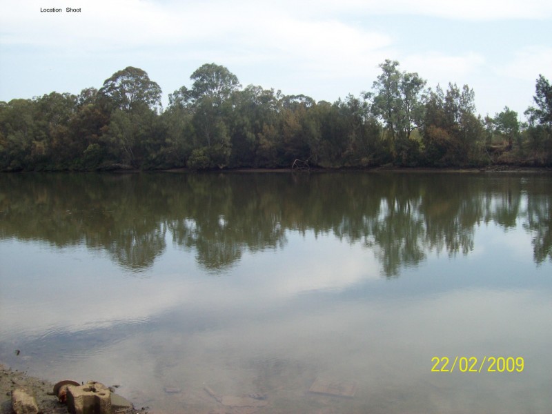 61 Beale Street, Georges Hall NSW 2198