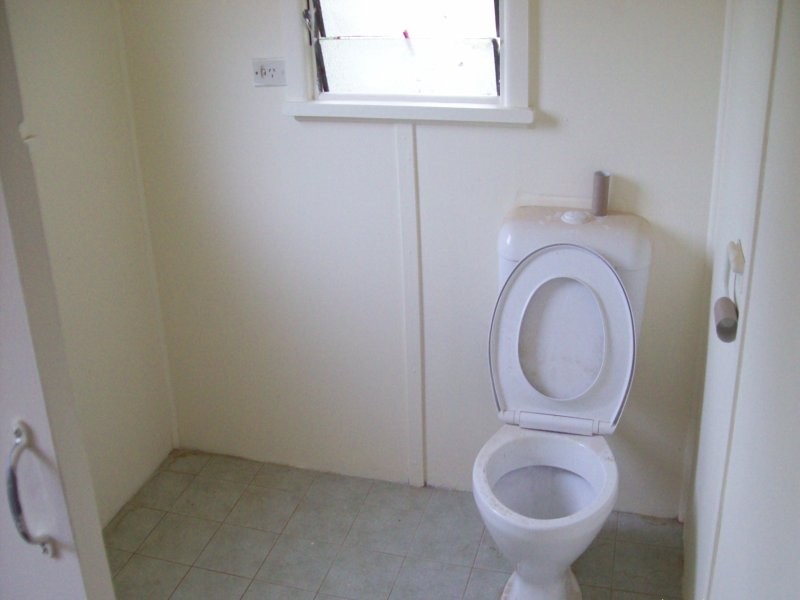 113 Lancaster Ave, Punchbowl NSW 2196