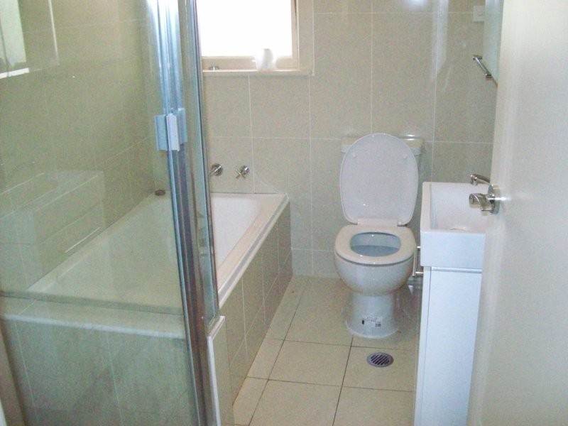 2 Nevada Crescent, Punchbowl NSW 2196