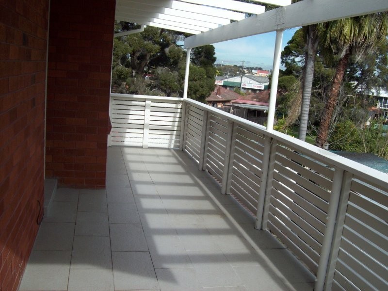 2 Nevada Crescent, Punchbowl NSW 2196