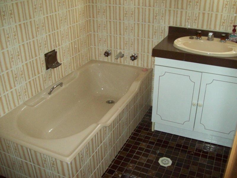 3 Myall Street, Punchbowl NSW 2196