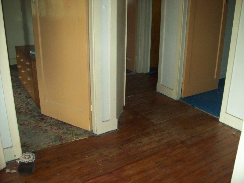 3 Myall Street, Punchbowl NSW 2196