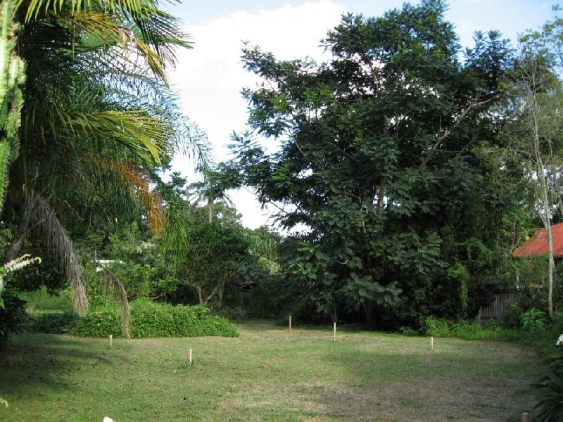 4 West Street, Bellingen NSW 2454