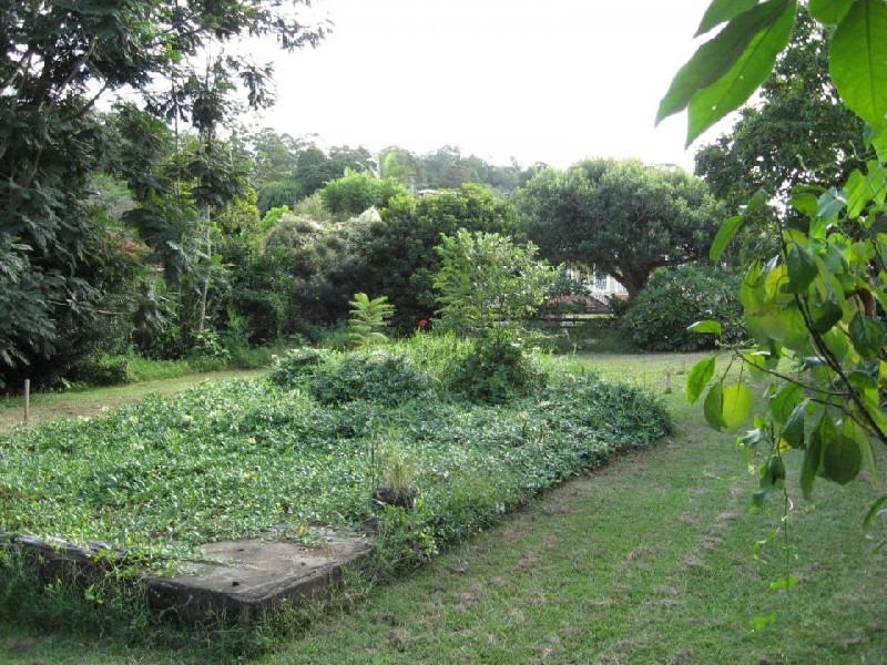 4 West Street, Bellingen NSW 2454