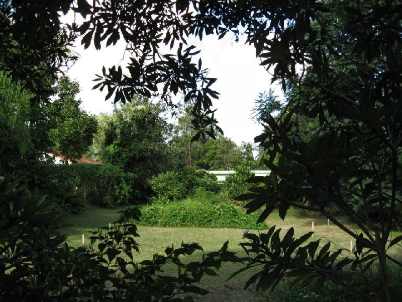 4 West Street, Bellingen NSW 2454