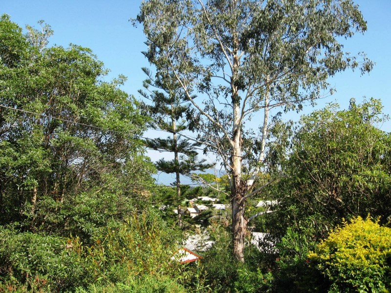 7 Ringwood Place, Bellingen NSW 2454