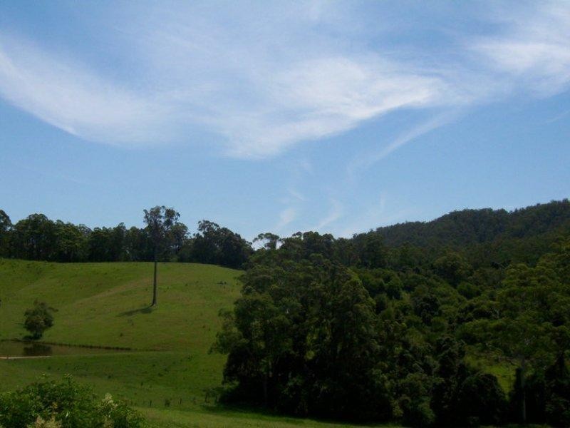 595 Bowraville Road, Bellingen NSW 2454