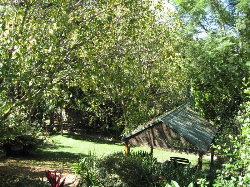 51A Lyon Street, Bellingen NSW 2454