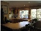 51A Lyon Street, Bellingen NSW 2454