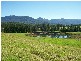 1646 Waterfall Way, Bellingen NSW 2454