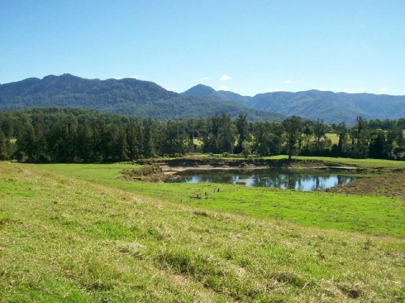 1646 Waterfall Way, Bellingen NSW 2454