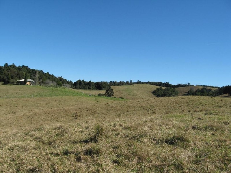 44 Lower Bielsdown Road, Dorrigo NSW 2453