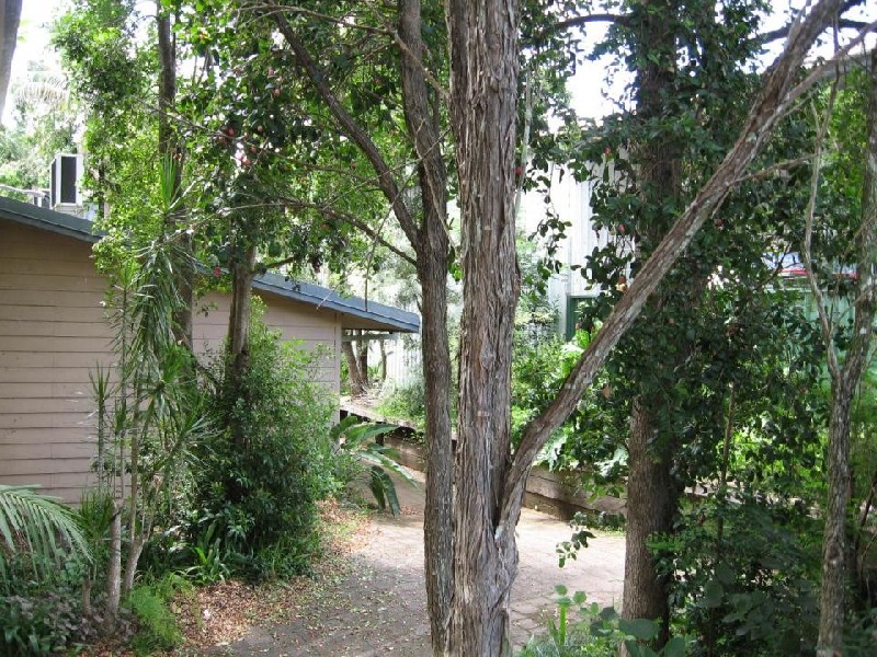 1-3 Church Street, Bellingen NSW 2454