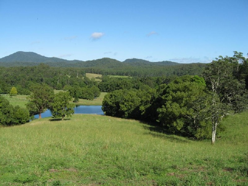 75 Hains Lane, Bellingen NSW 2454