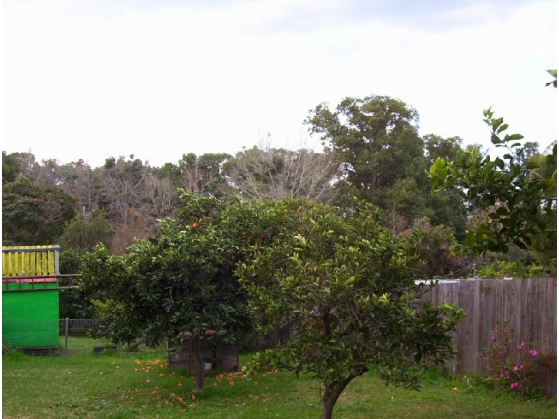 14 Prince Street, Bellingen NSW 2454