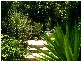 9 Tamarind Drive, Bellingen NSW 2454