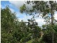 48 Sunset Ridge Drive, Bellingen NSW 2454