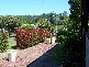 5 Northcote Street, Bellingen NSW 2454