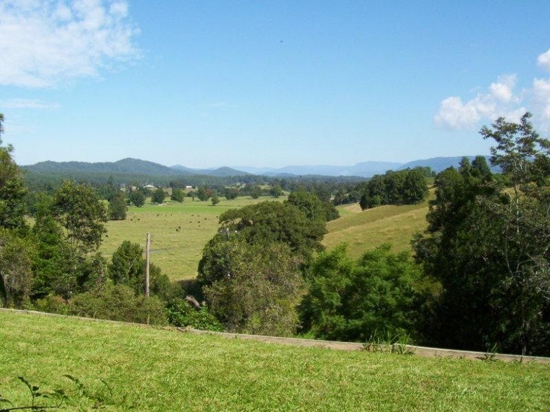 110 Gleniffer Road, Bellingen NSW 2454