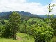 2727 Waterfall Way, Bellingen NSW 2454