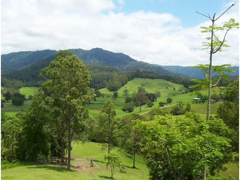 2727 Waterfall Way, Bellingen NSW 2454