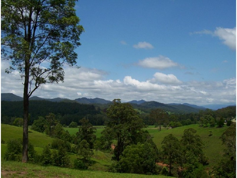 2727 Waterfall Way, Bellingen NSW 2454