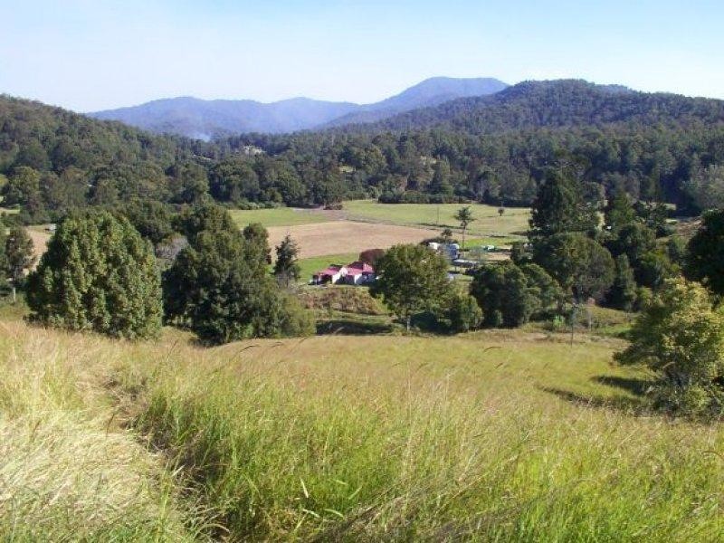 141 Sunny Corner Road, Bellingen NSW 2454 the real estate agency