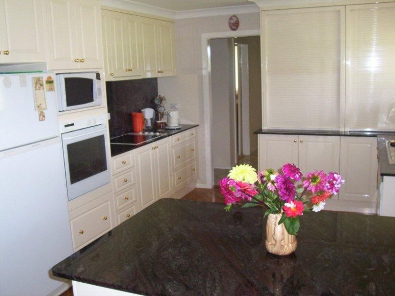 1577 Waterfall Way, Bellingen NSW 2454