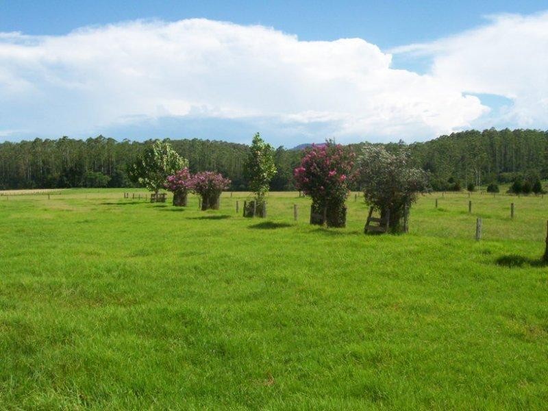 1577 Waterfall Way, Bellingen NSW 2454