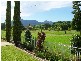 1577 Waterfall Way, Bellingen NSW 2454