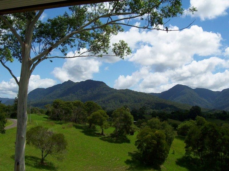370 Roses Road, Bellingen NSW 2454