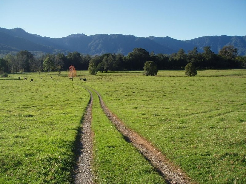 69 Gordonville Road, Bellingen NSW 2454