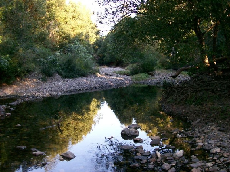 69 Gordonville Road, Bellingen NSW 2454