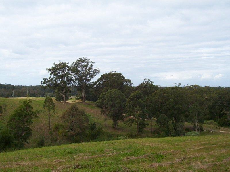 120 Burkes Road, Valla NSW 2448