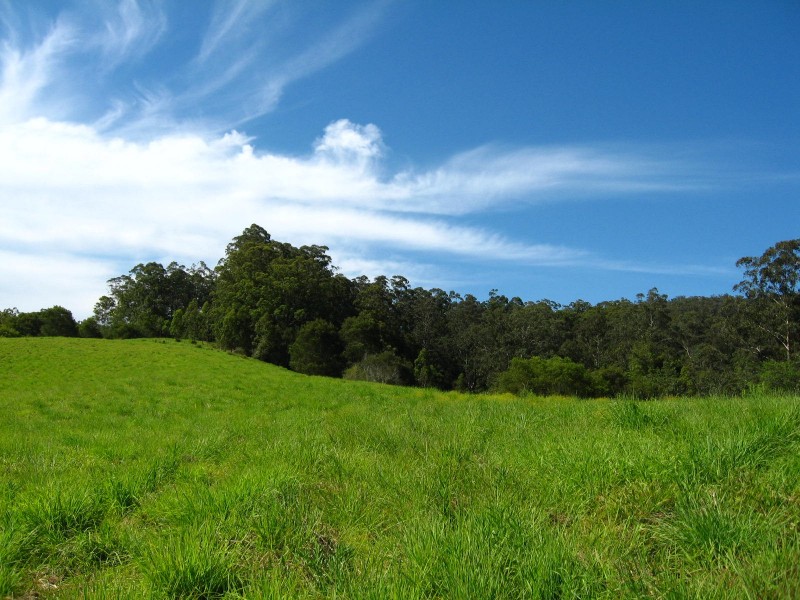 Lot 2 Bowraville Road, Bellingen NSW 2454