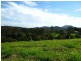 Lot 2 Bowraville Road, Bellingen NSW 2454