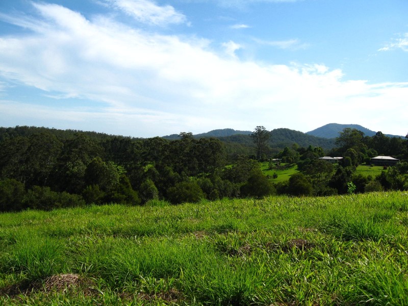 Lot 2 Bowraville Road, Bellingen NSW 2454