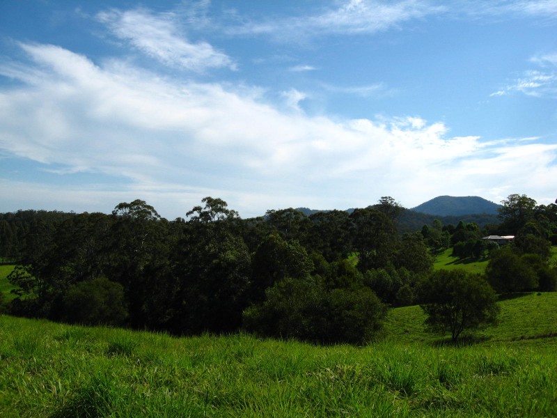 Lot 2 Bowraville Road, Bellingen NSW 2454